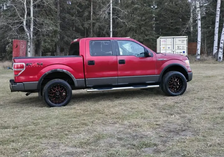 Ford F-150 2009 photo 3