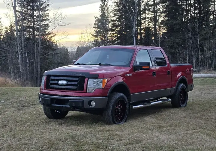 Ford F-150 2009 photo 5