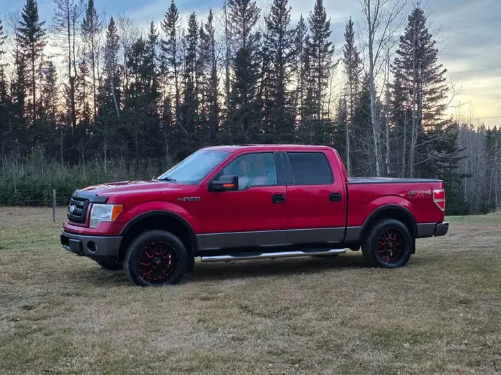 Ford F-150 2009 photo 2