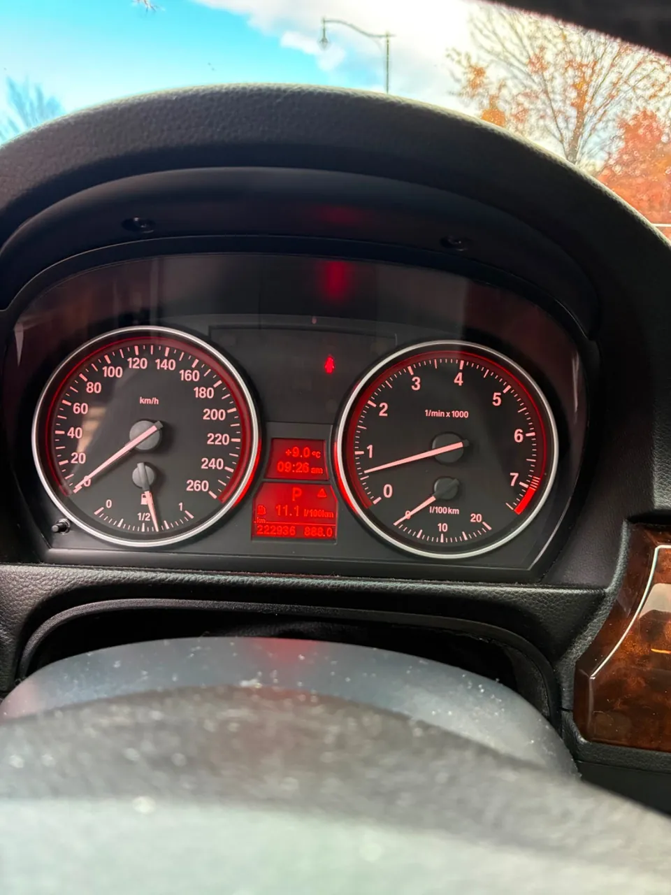BMW 3 Series 2010 photo 5