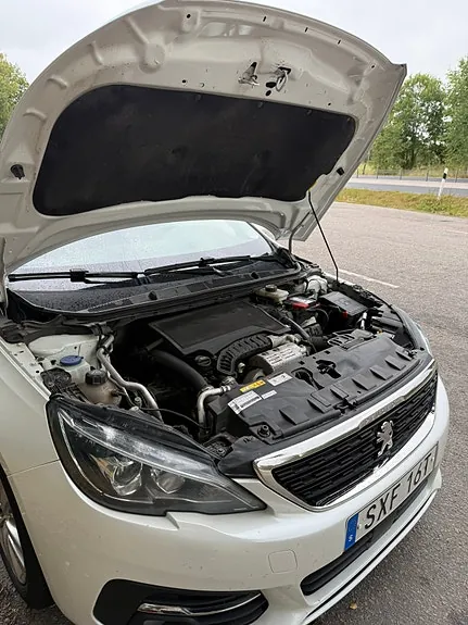 Peugeot 308 2019 photo 4