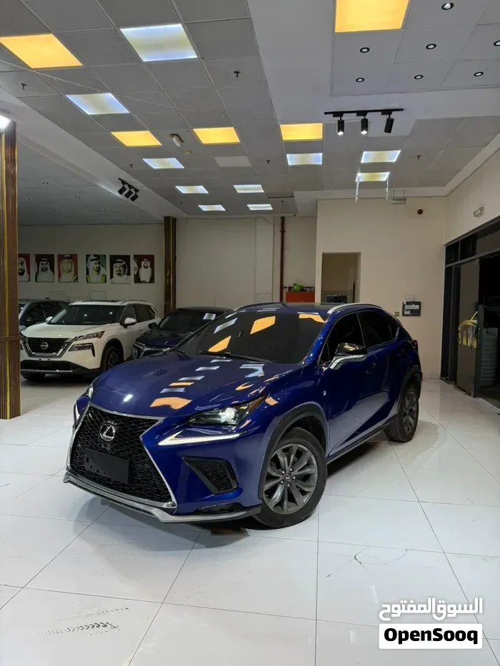 Lexus Nx 300