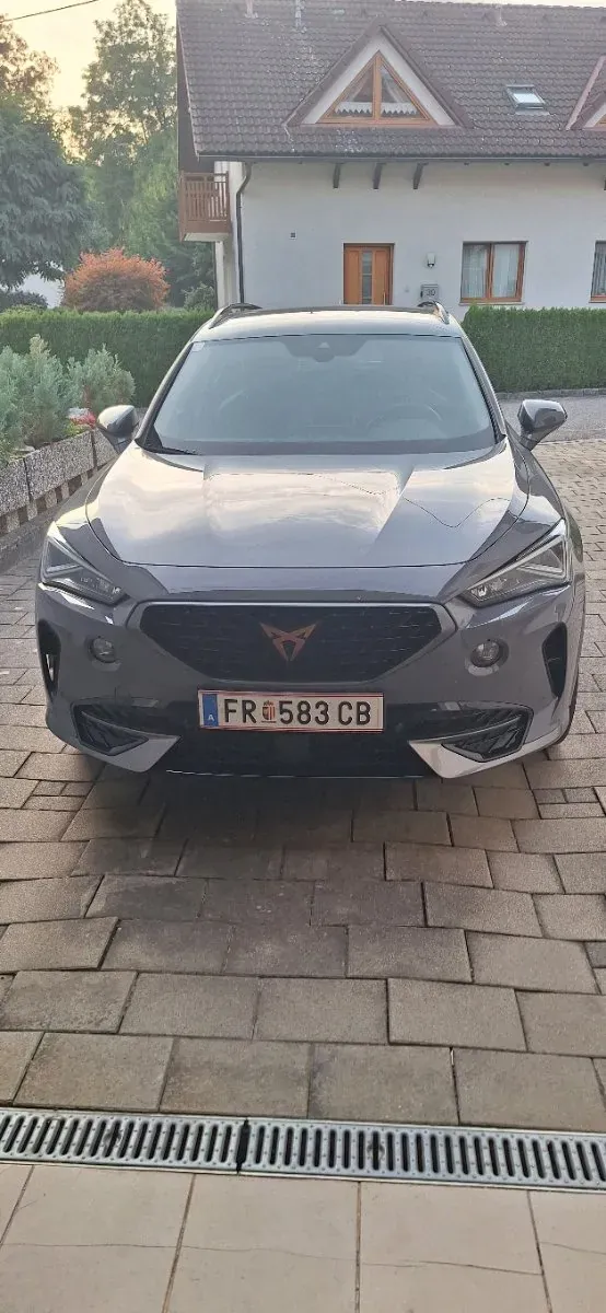 Cupra Formentor 2022 photo 2