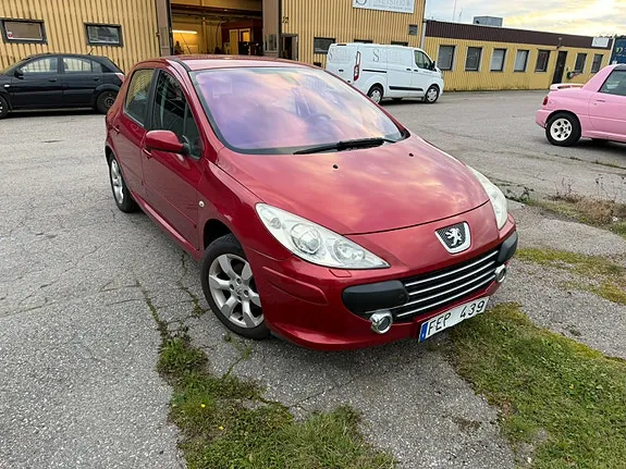 Peugeot 307 2007 photo 4
