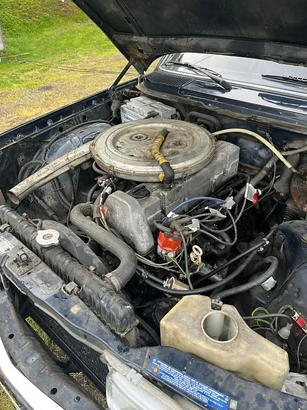 Mercedes-Benz 250 1977 photo 2