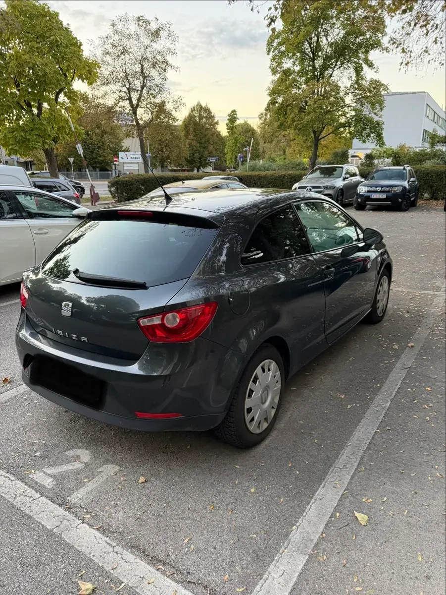 Seat Ibiza 2008 photo 3