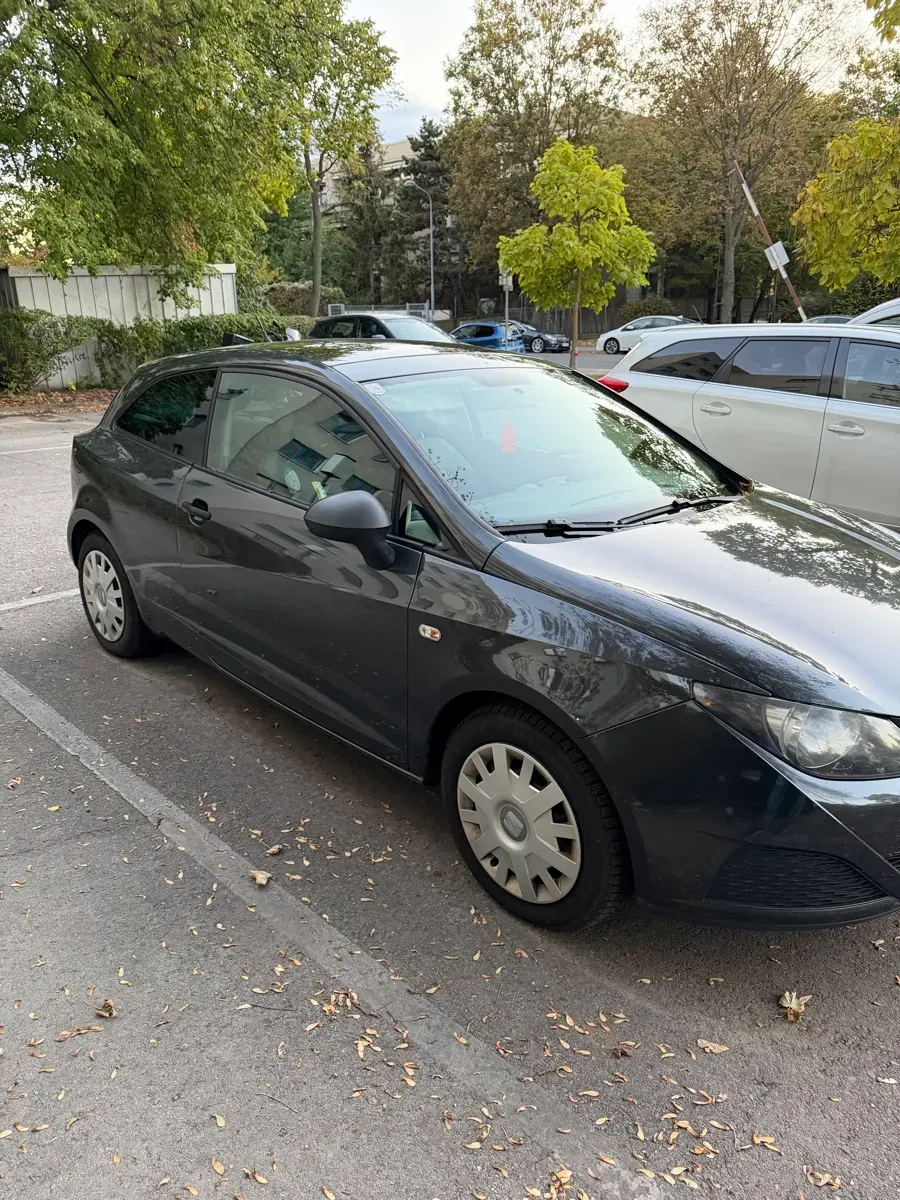 Seat Ibiza 2008 photo 2
