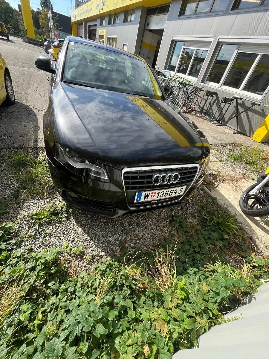 Audi A4 2008 photo 2