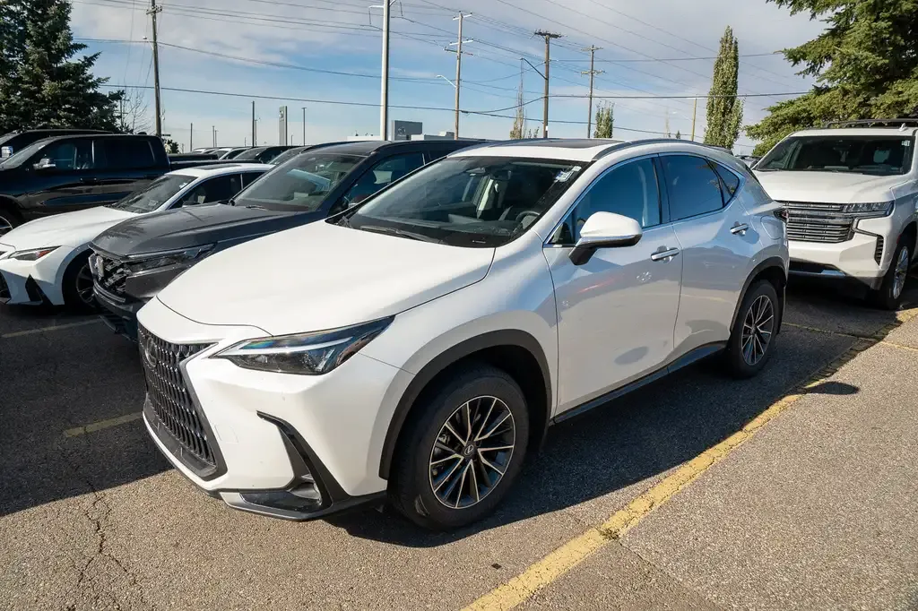 Lexus Nx 2024 photo 5