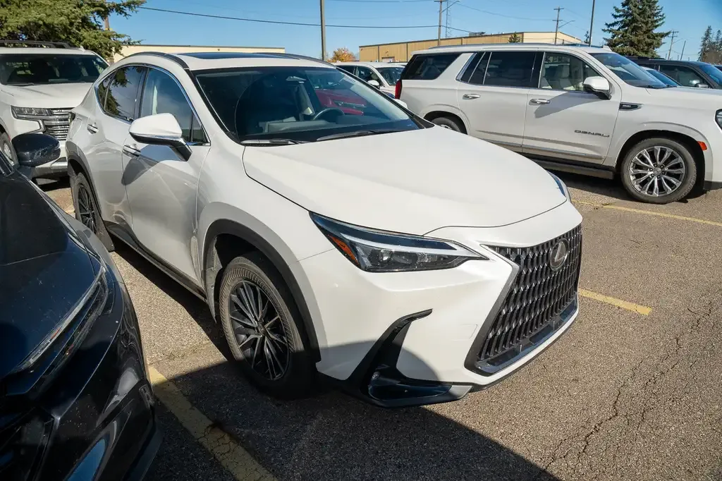 Lexus Nx 2024 photo 2