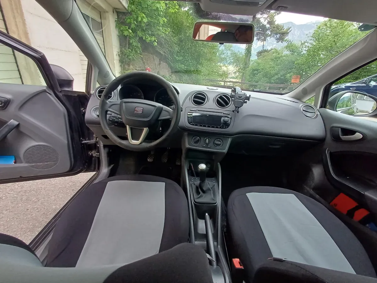 Seat Ibiza 2010 photo 2