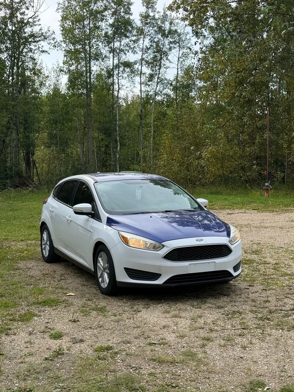 Ford Focus 2015 photo 3