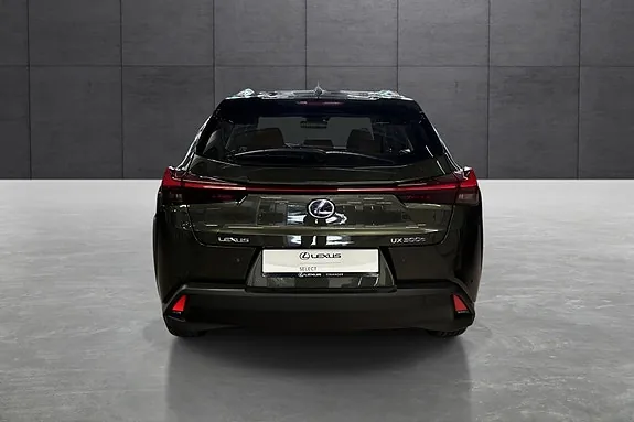 Lexus Ux300E 2022 photo 4