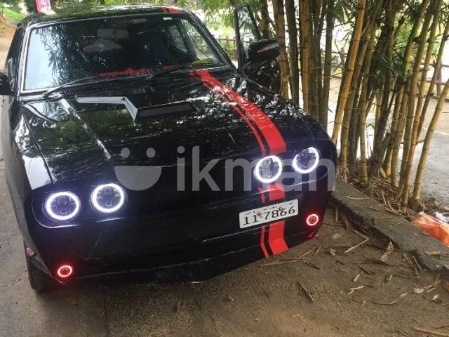 Nissan Sunny 1976 photo 3