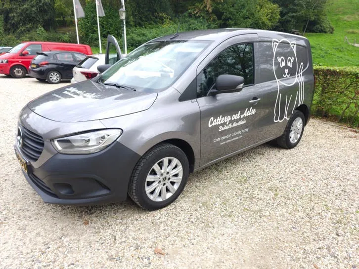 Mercedes-Benz Citan