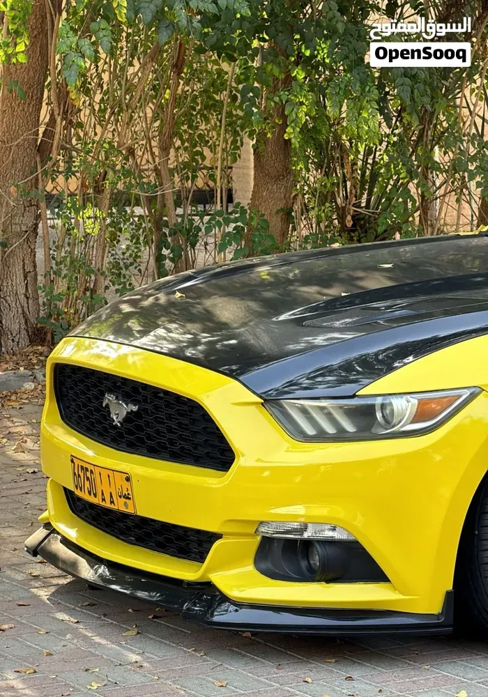 Ford Mustang 2015 photo 3