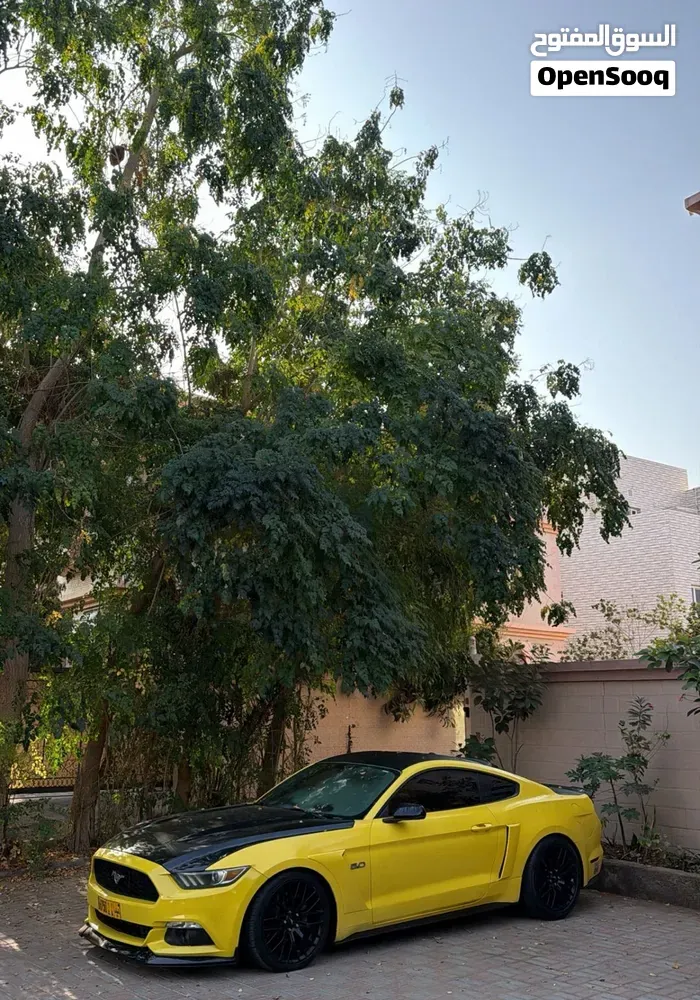 Ford Mustang 2015 photo 2