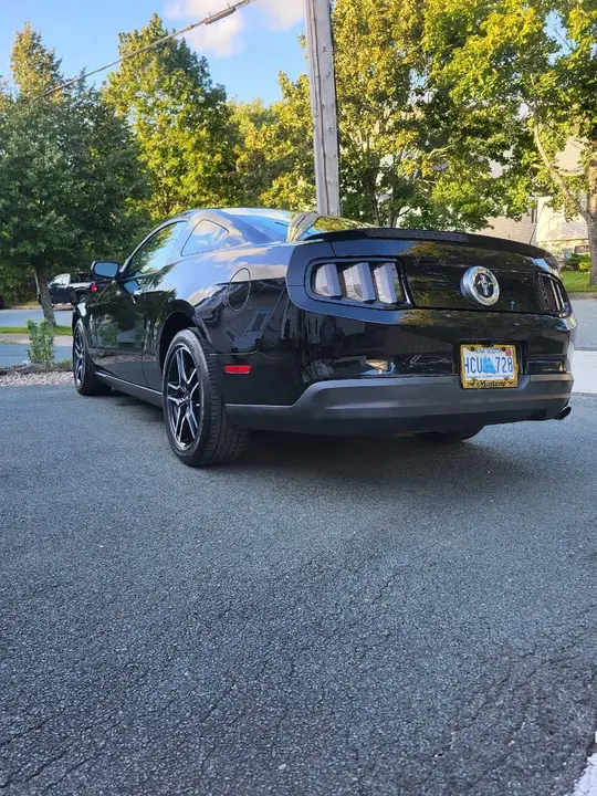 Ford Mustang 2010 photo 3