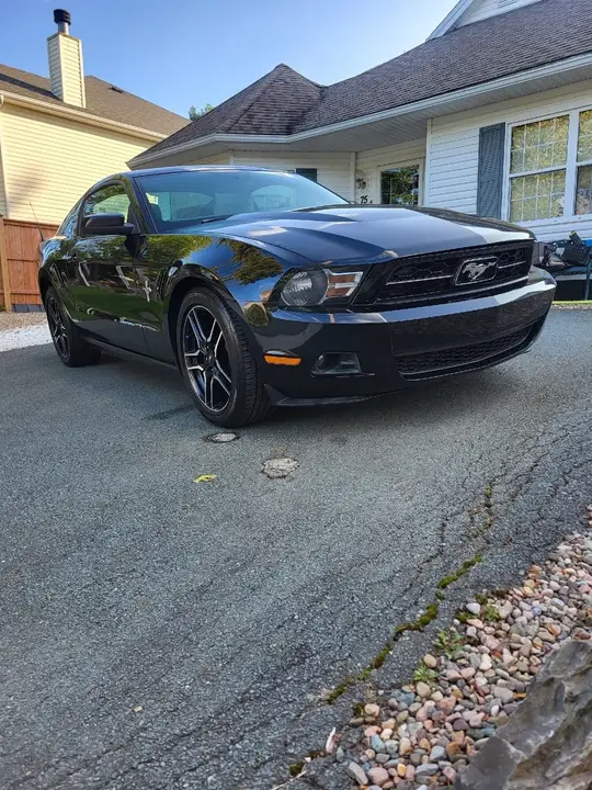 Ford Mustang 2010 photo 2