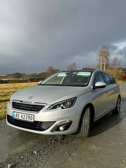 Peugeot 308 Sw 2014 photo 3