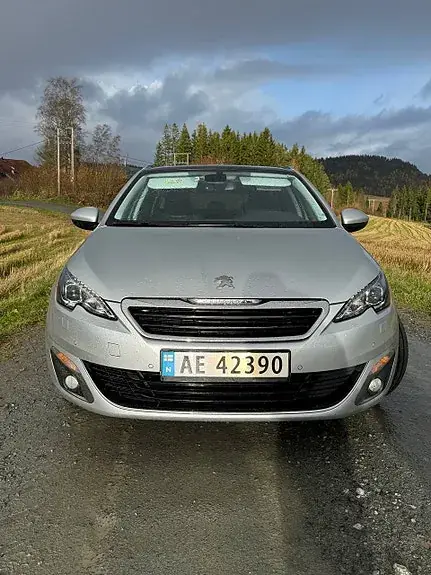 Peugeot 308 Sw 2014 photo 2
