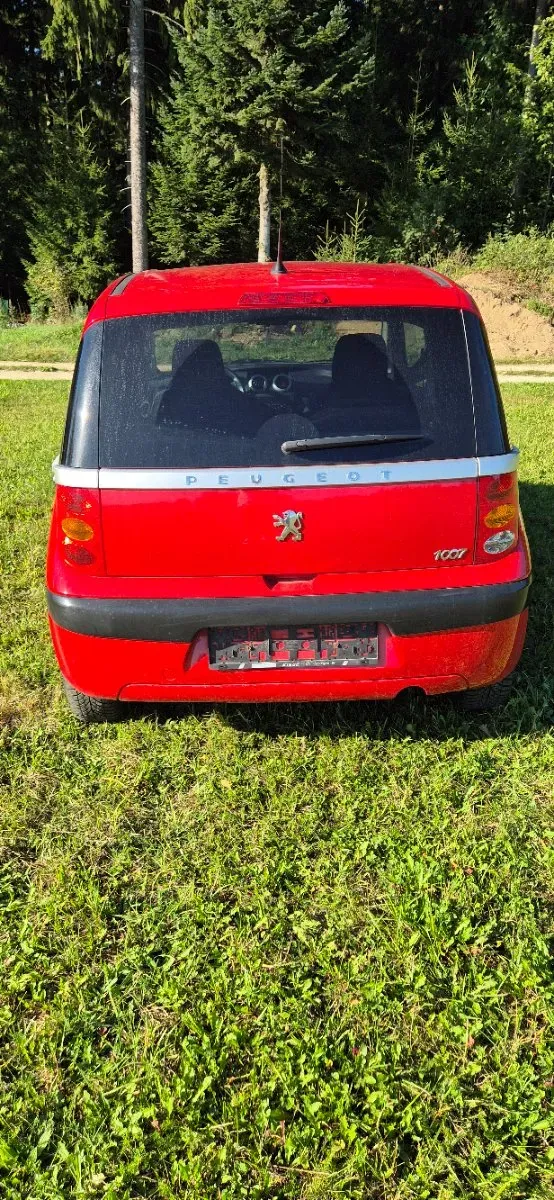 Peugeot 1007 2005 photo 3