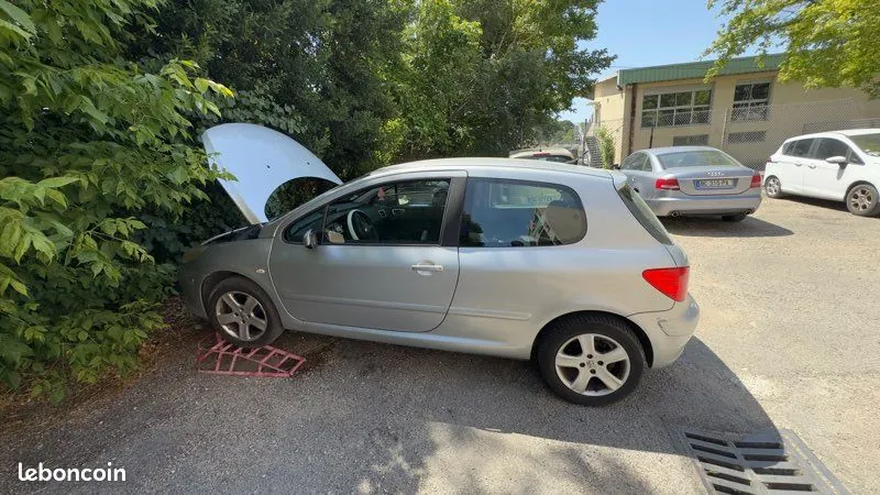 Peugeot 307 2006 photo 3