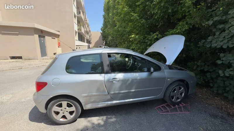 Peugeot 307 2006 photo 2