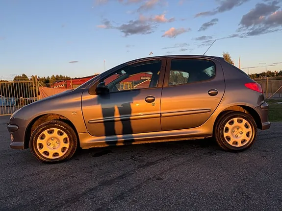 Peugeot 206 2007 photo 5