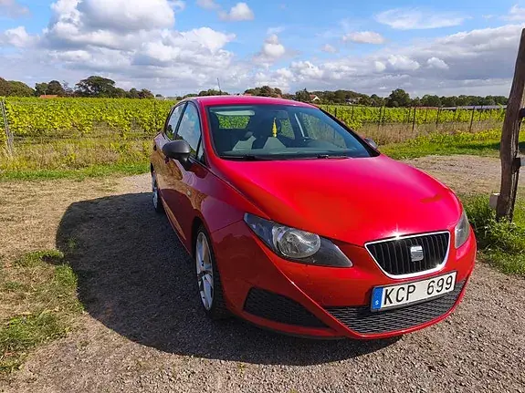 Seat Ibiza 2010 photo 2