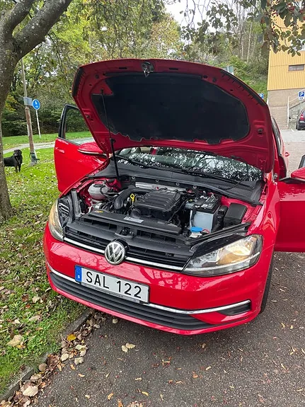 Volkswagen Golf Vii 2018 photo 2