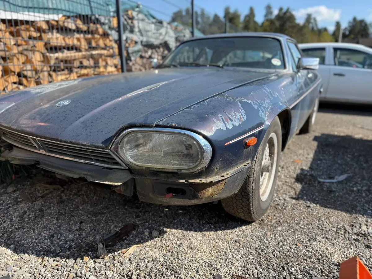 Jaguar Xjs