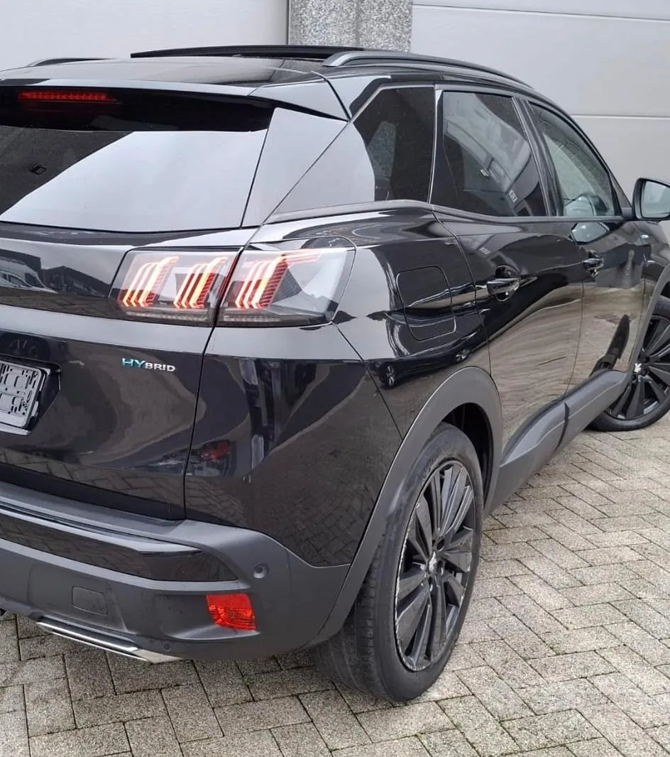 Peugeot 3008 2021 photo 4