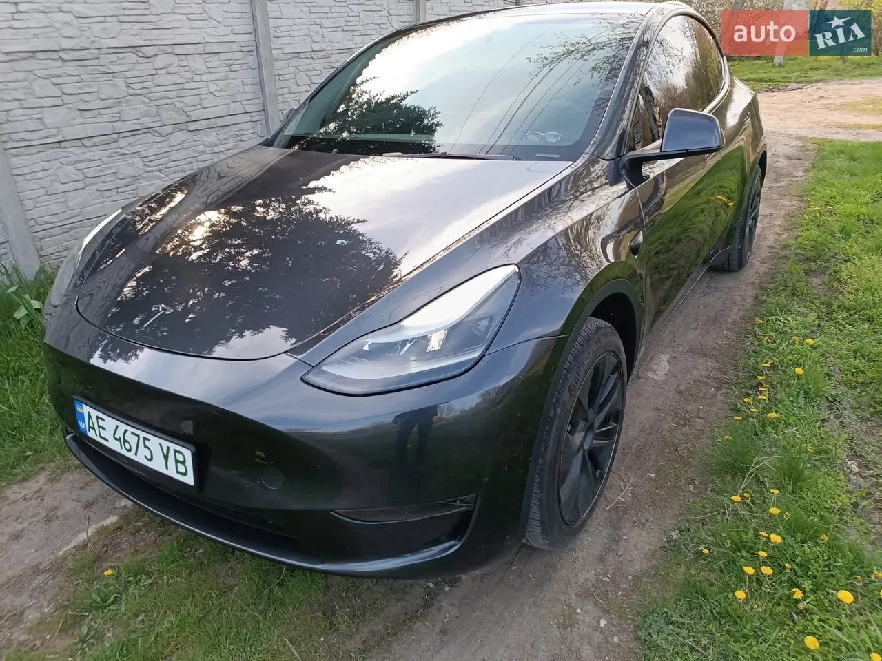 Tesla Model Y 2025 photo 2