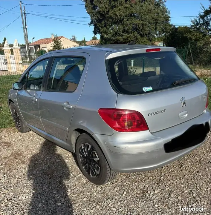 Peugeot 307 2004 photo 3