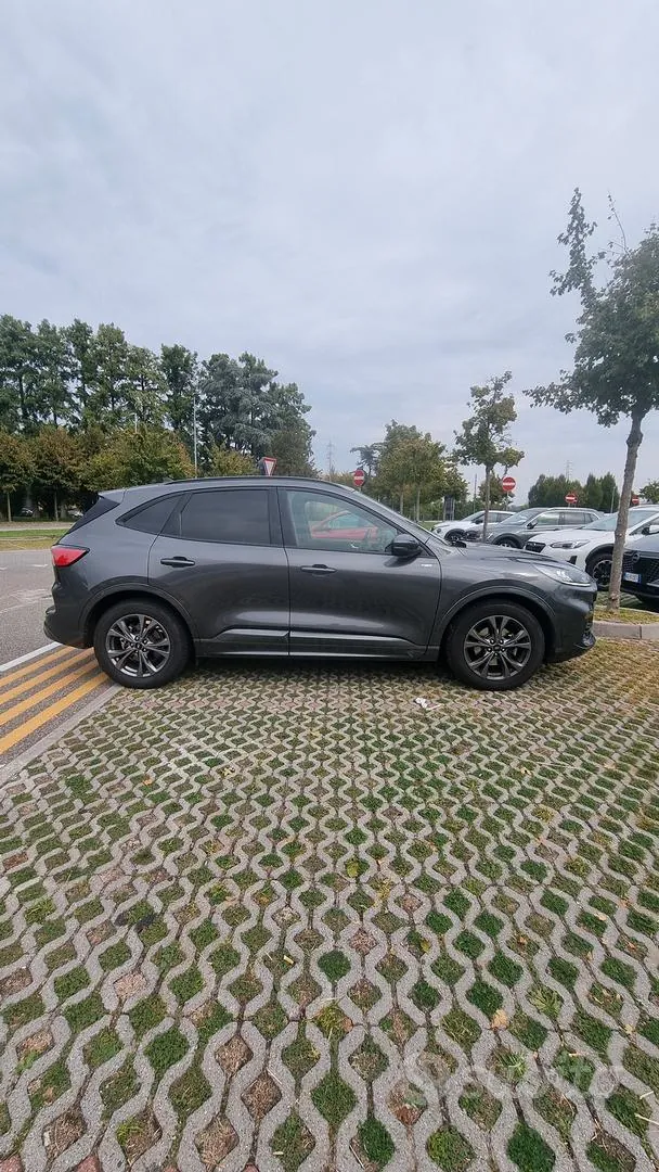 Ford Kuga 2024 photo 2
