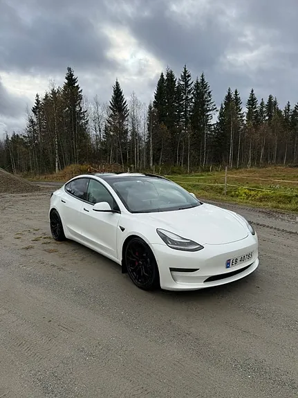 Tesla Model 3 2020 photo 3