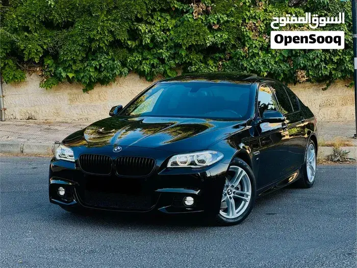 BMW 5 Series 2015 photo 3