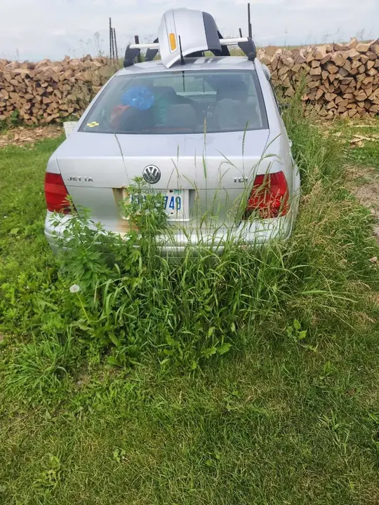 Volkswagen Jetta 2002 photo 2