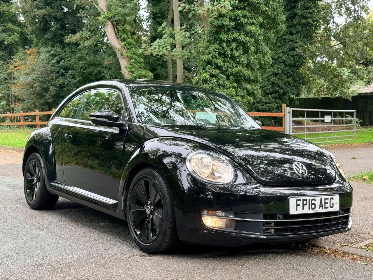 Volkswagen Beetle