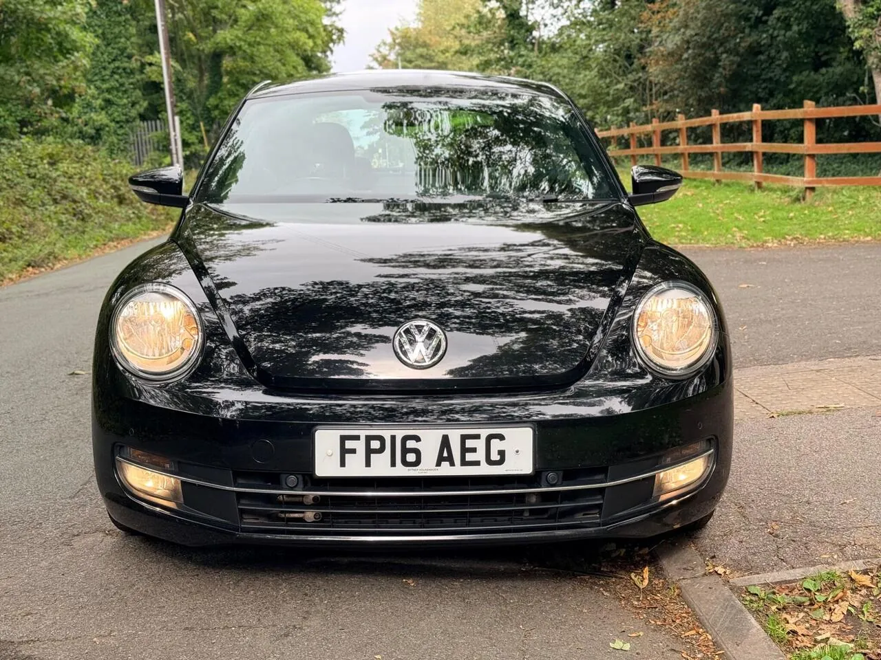 Volkswagen Beetle 2016 photo 3