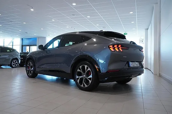 Ford Mustang Mach-E 2021 photo 3