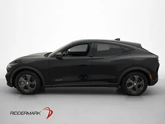 Ford Mustang Mach-E 2021 photo 5