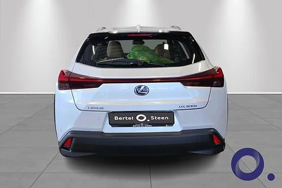 Lexus Ux300E 2021 photo 4