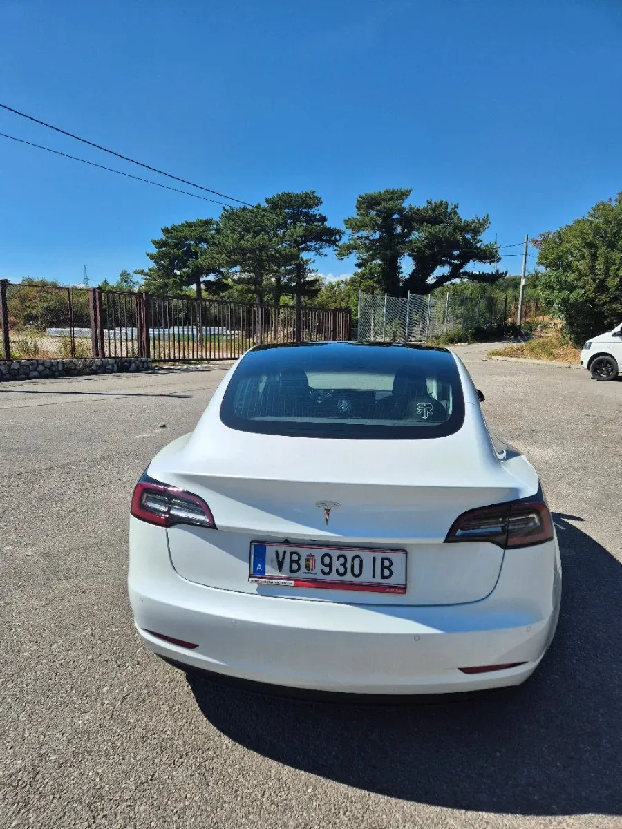 Tesla Model 3 2020 photo 3