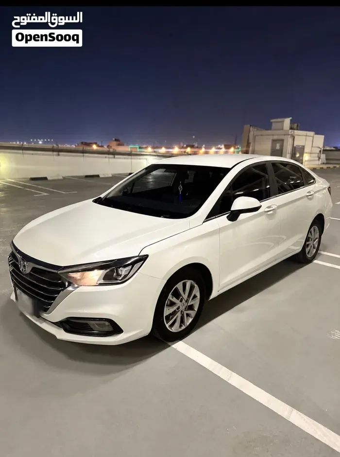 BAIC Senova D50 2023 photo 5