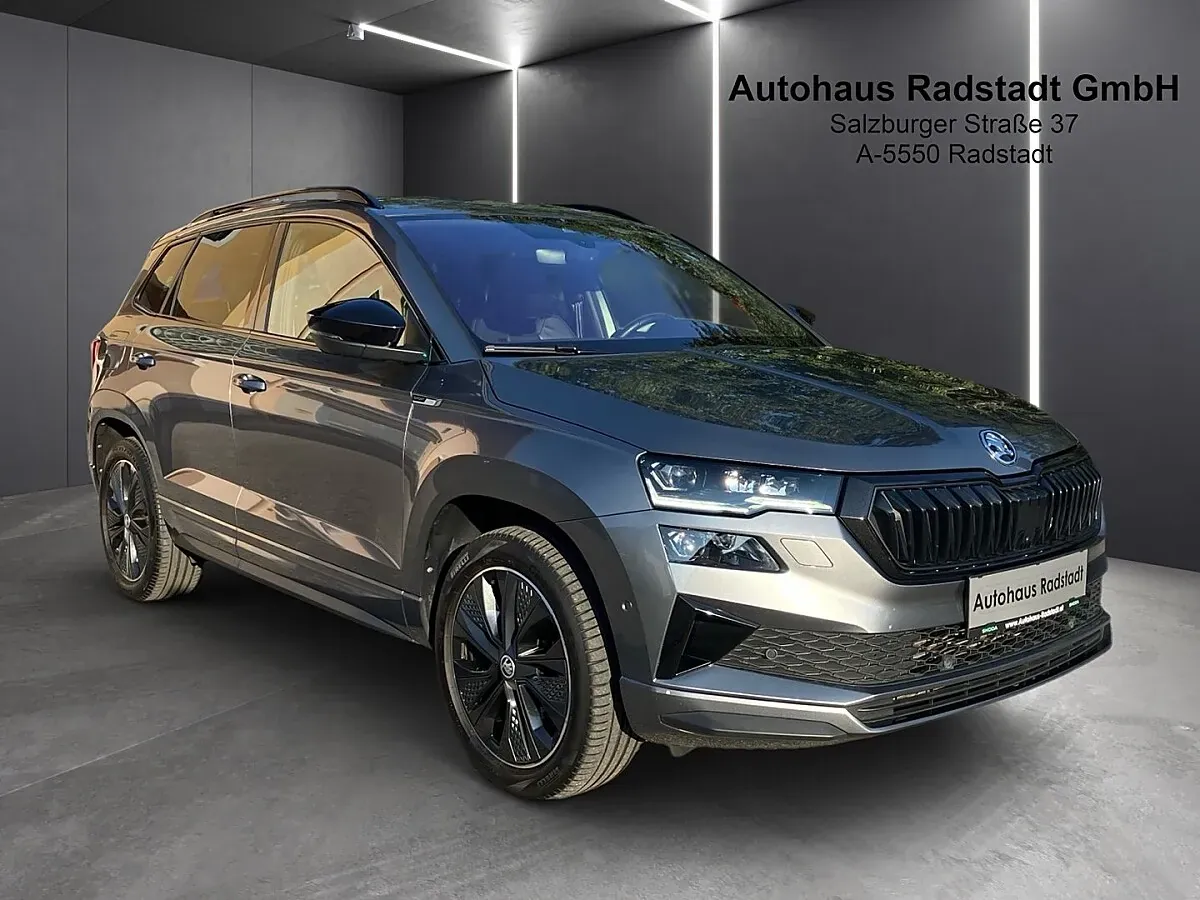 Skoda Karoq 2022 photo 2