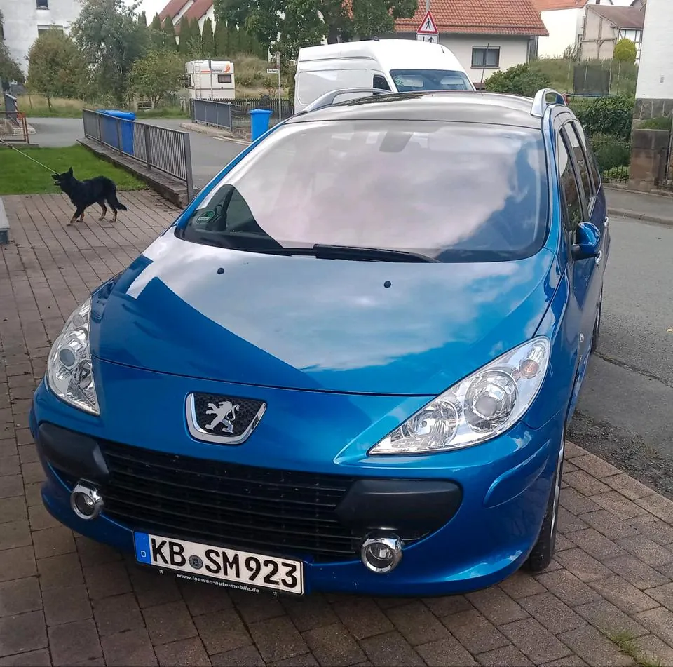 Peugeot 307 Sw