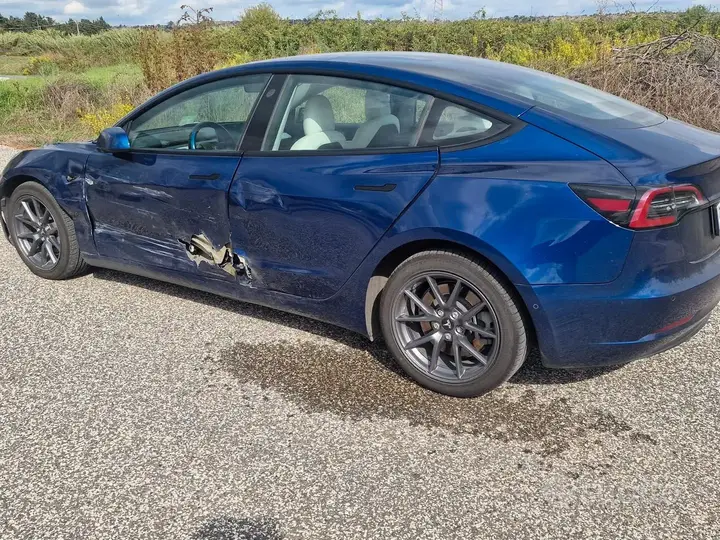 Tesla Model 3 2021 photo 3