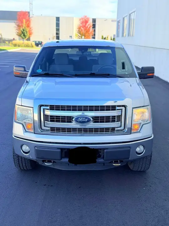 Ford F-150 2014 photo 4